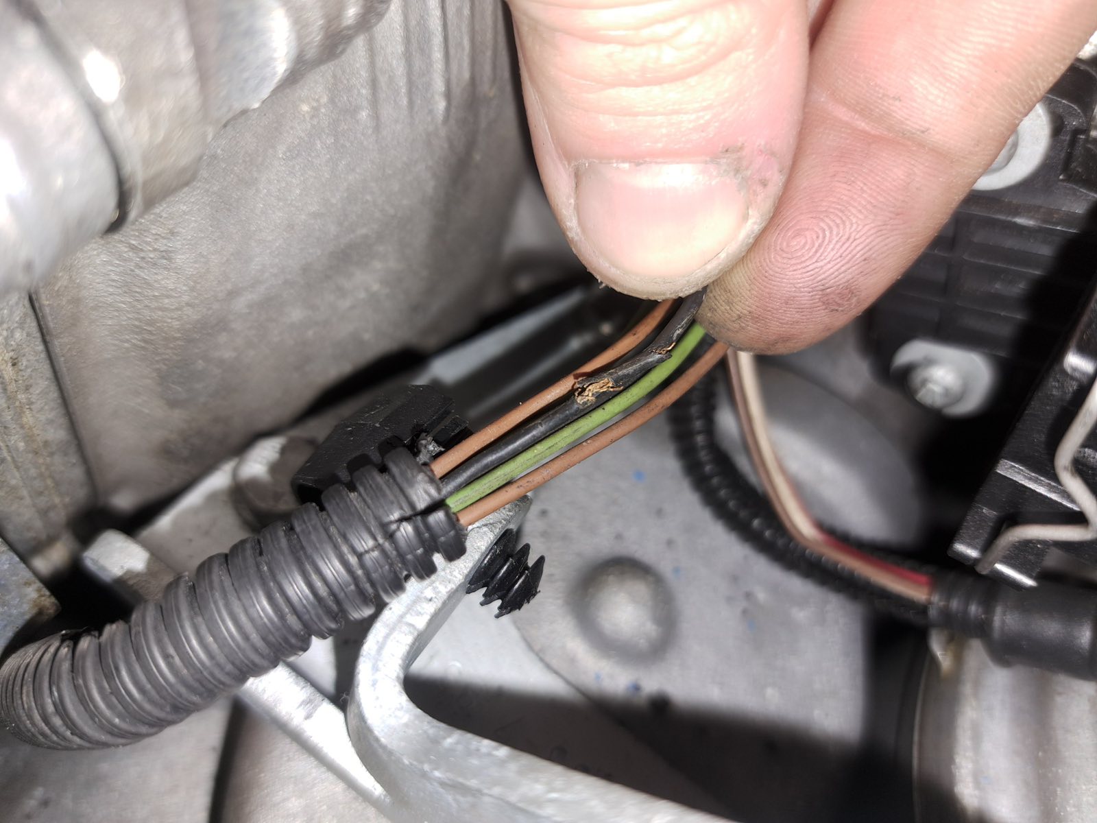 BMW E46 M3 Cabrio Manual - Image 27